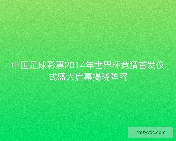 中国足球彩票2014年世界杯竞猜首发仪式盛大启幕揭晓阵容