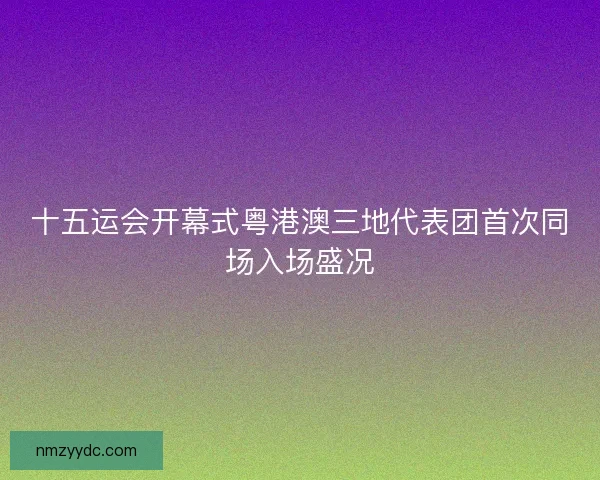 十五运会开幕式粤港澳三地代表团首次同场入场盛况